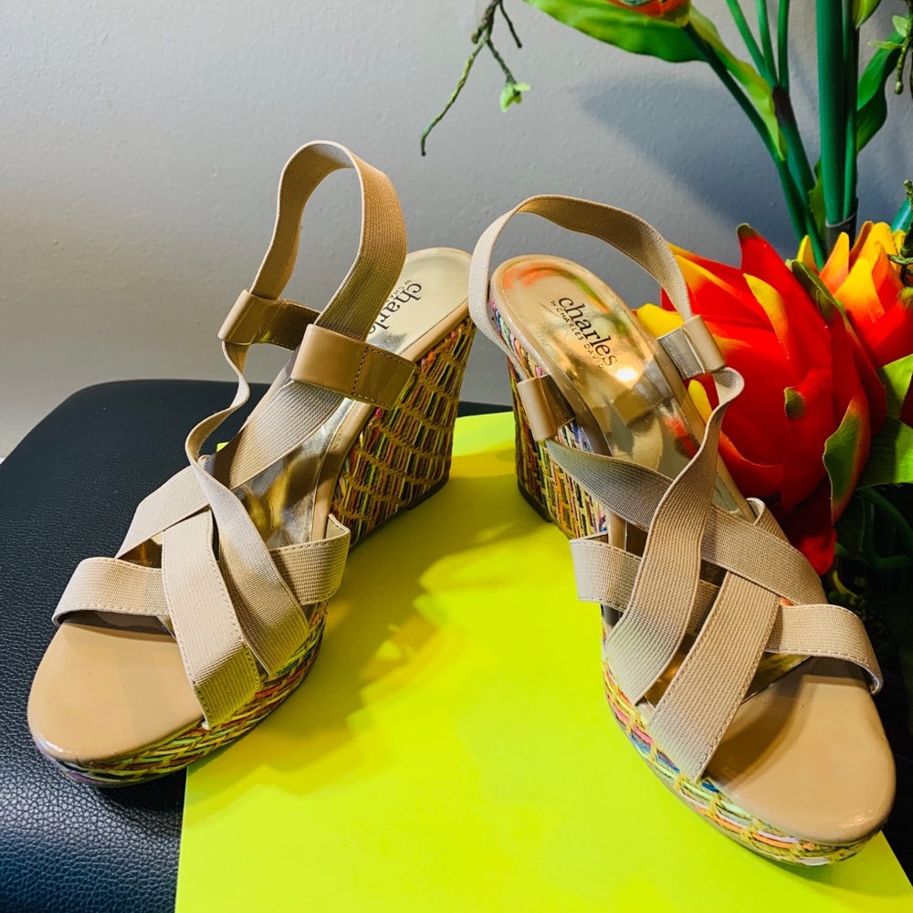 Charles By David Charles Multi Color Wedge Heels - image 1